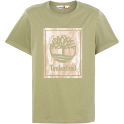 Textil Homem T-Shirt mangas curtas Timberland 236610 Verde