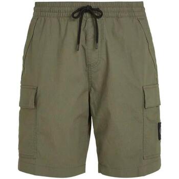Textil Homem Shorts / Bermudas Calvin Klein Jeans  Verde