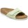 Sapatos Mulher Sandálias BIRKENSTOCK  Multicolor