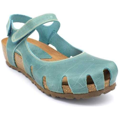 Sapatos Mulher Sapatos & Richelieu Interbios-Silvio 5326 Azul