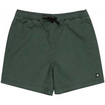 Textil Homem Shorts / Bermudas Element Valley twill Verde