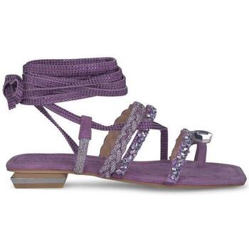 Sapatos Mulher Sandálias Project X Paris V240780 Violeta