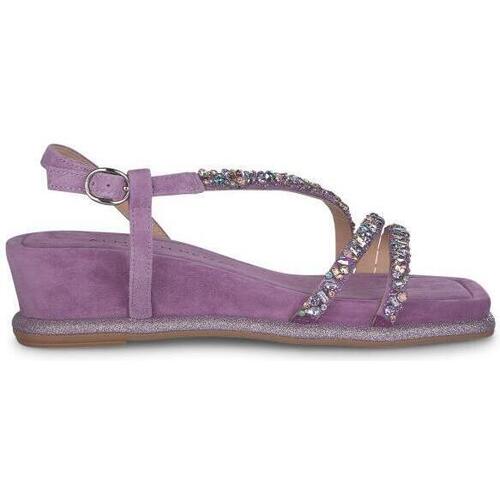 Sapatos Mulher Alpargatas Continuar as compras V240741 Violeta
