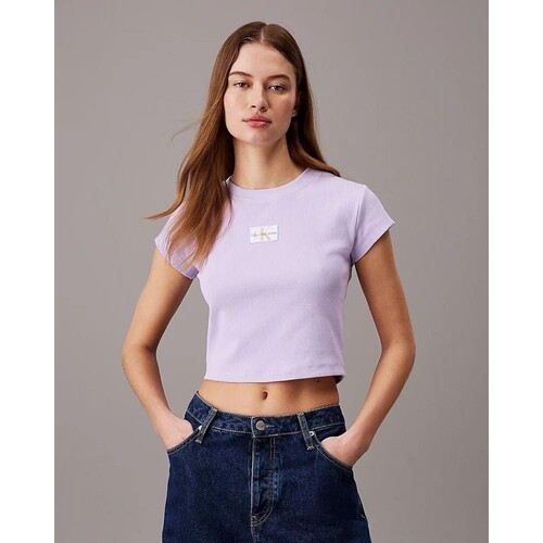Textil Mulher T-shirts e Pólos Calvin Klein Jeans J20J223552VFR Violeta