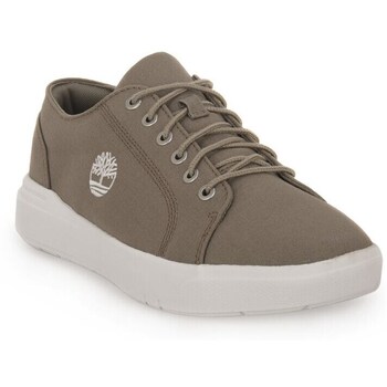 Sapatos Homem Sapatilhas Timberland Seneca Bay Cinza