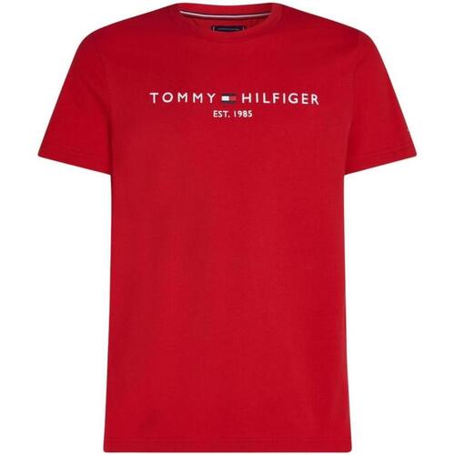 Textil Homem T-Shirt mangas curtas Tommy Hilfiger  Vermelho