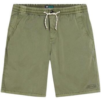 Textil Homem Shorts / Bermudas Superdry  Verde