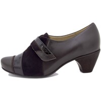 Sapatos Mulher Slip on Piesanto 175406 Castanho