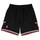 Textil Homem Calças curtas Mitchell And Ness Nba Swingman Preto