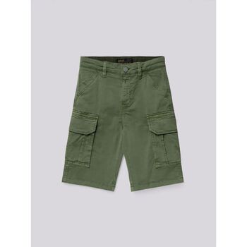 Textil Rapaz Shorts / Bermudas Replay SB9525.050.8437M-806 Verde