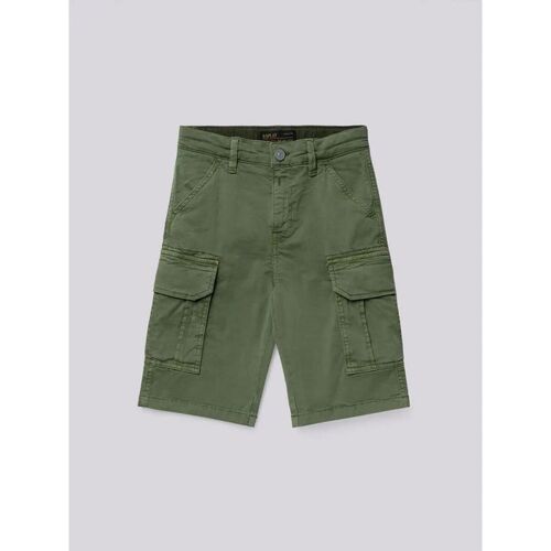 Textil Rapaz Shorts / Bermudas Replay SB9525.050.8437M-806 Verde