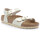 Sapatos Mulher Chinelos Birkenstock  Ouro