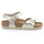 Sapatos Mulher Chinelos Birkenstock  Ouro