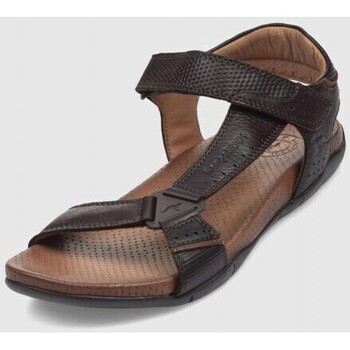 Kangaroos SANDALIA CALIFORNIANA  522 MARRÓN Castanho