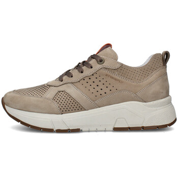 Sapatos Homem Sapatilhas Stonefly 220937 Castanho