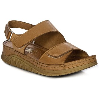 Sapatos Mulher Sandálias Maciejka L449529001 Castanho