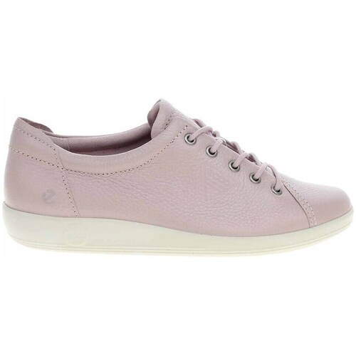 Sapatos Mulher Sapatilhas Ecco Soft 2.0 Violeta