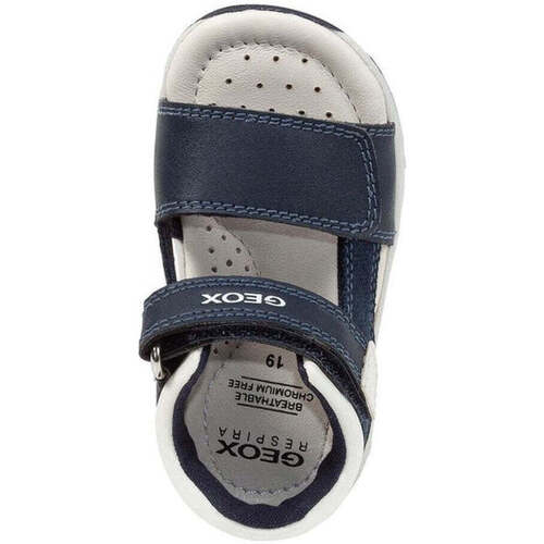 Geox  Azul