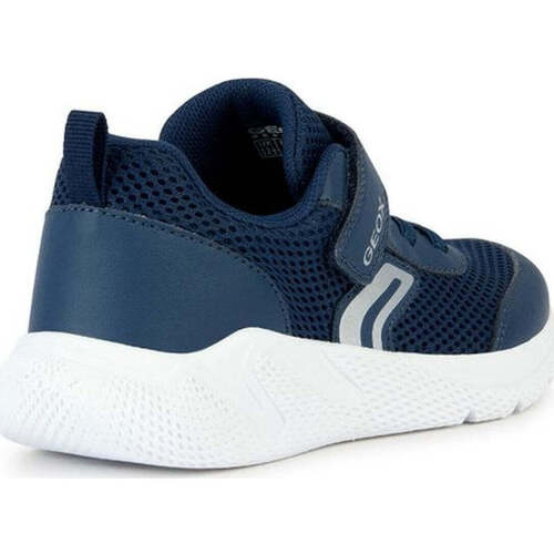 Geox  Azul