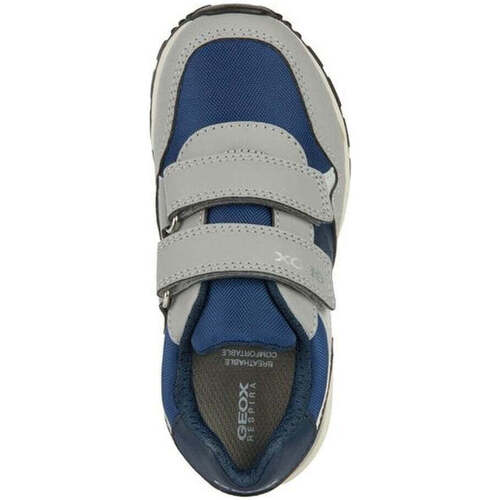 Geox  Cinza