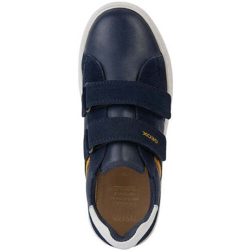 Geox  Azul