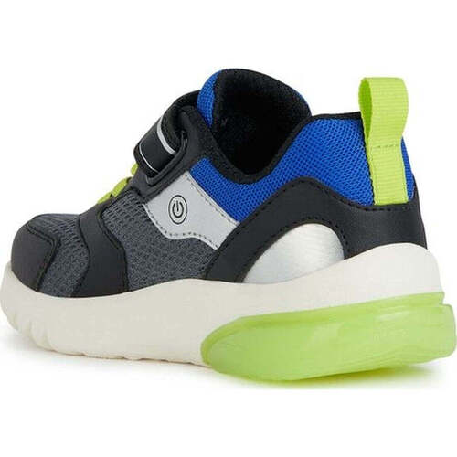 Geox  Cinza