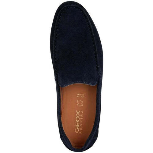 Geox  Azul