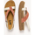 Sapatos Mulher Sandálias Art ART 1171811VT003 Multicolor