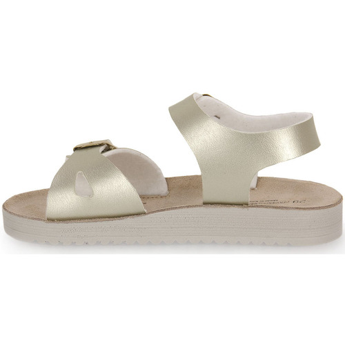 Gold Star PLATINO Cinza