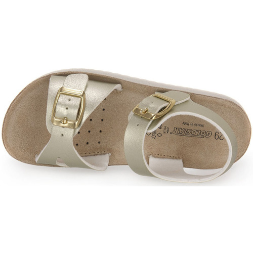 Gold Star PLATINO Cinza