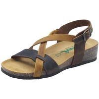 Sapatos Mulher Sandálias Bionatura 12A826 Imb Crazy Castanho