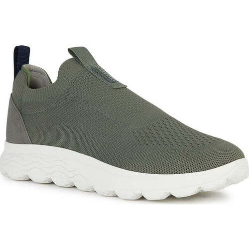 Geox  Verde