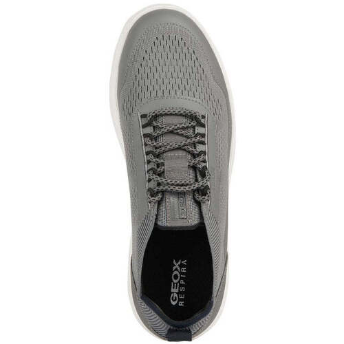 Geox  Cinza