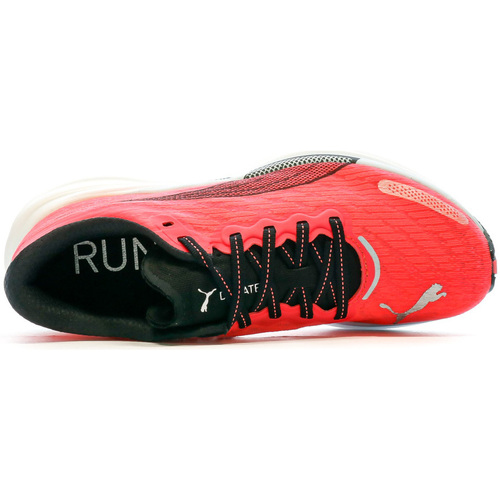 Puma  Rosa