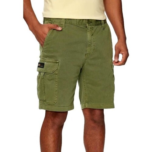 Textil Homem Shorts / Bermudas Tommy Jeans  Verde