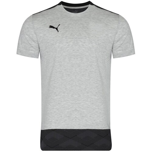Puma Teamfinal 21 Cinza