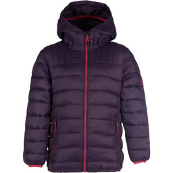 Textil Criança Casacos  Rock Experience _3_NEW MANASLU PADDED JACKET JUNIOR Violeta