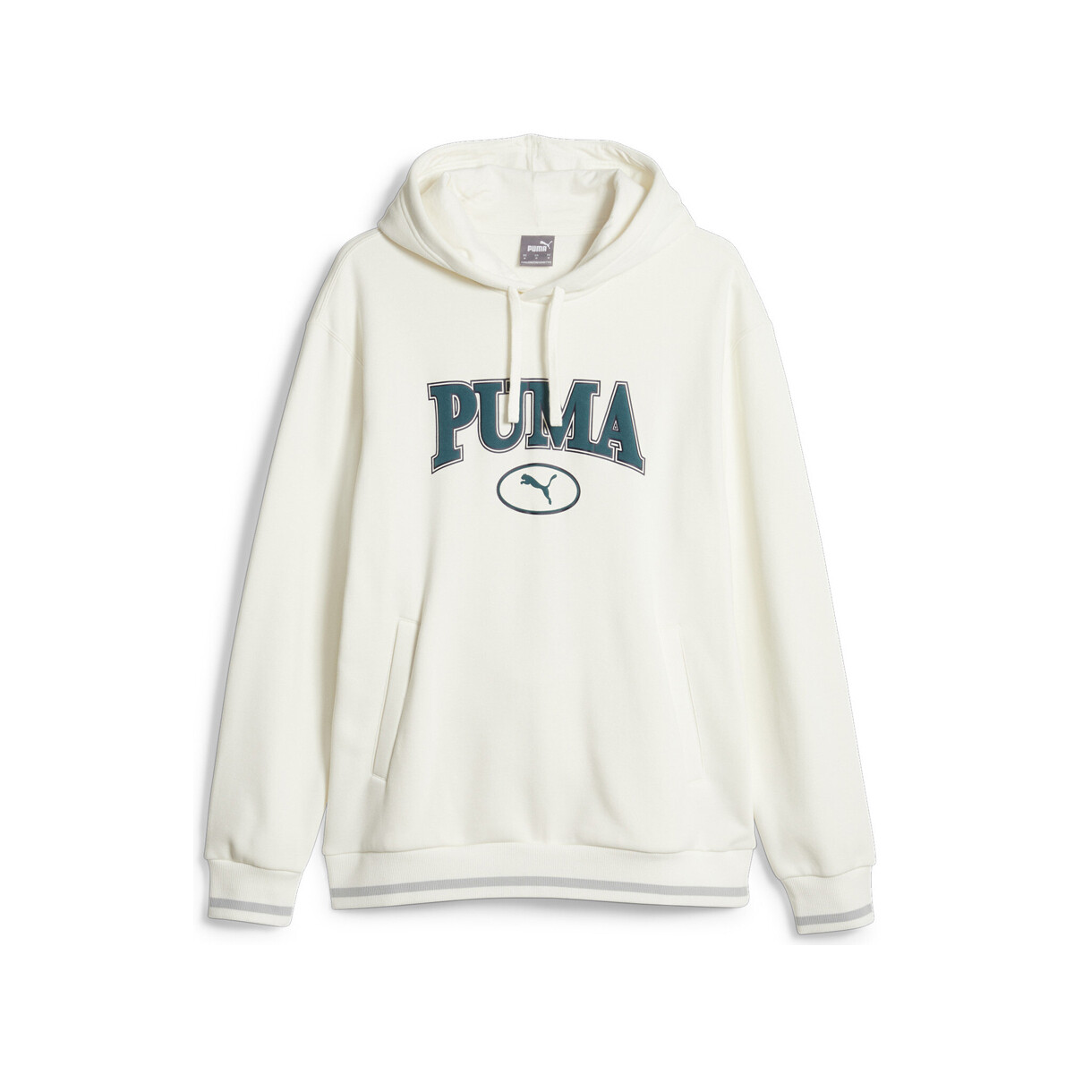 Textil Homem Sweats Puma  Bege