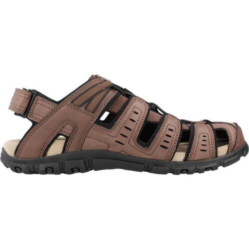 Geox U S STRADA C Castanho