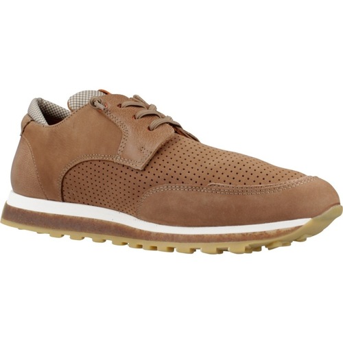 Cetti C1275NOB Castanho