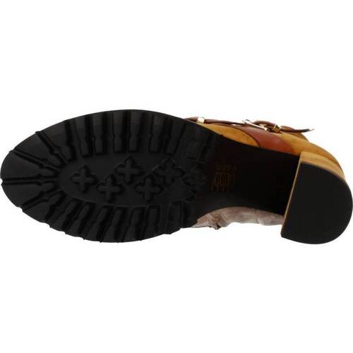 Elvio Zanon EK3601P Castanho
