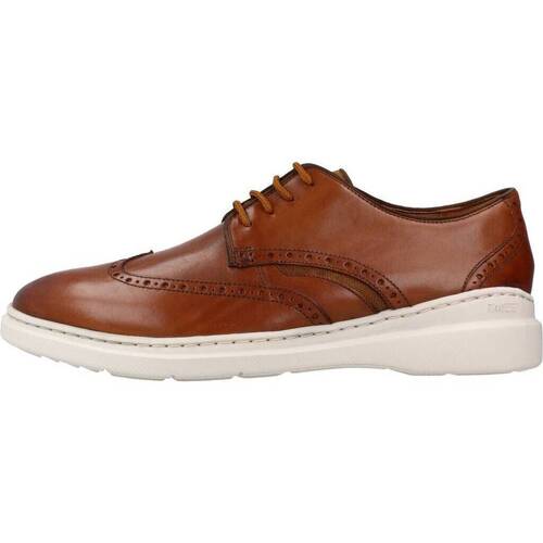Clarks DENNET WING Castanho
