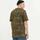 Textil Homem T-shirts e Pólos Vans CLASSIC EASY BOX Verde