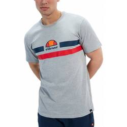 Textil Homem T-shirts e Pólos Ellesse APREL TEE Cinza