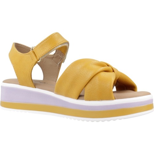 IgI&CO D.PATRICIA Amarelo
