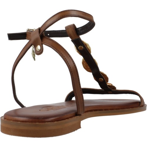 Caryatis 621722C Castanho