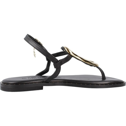 Caryatis 6235C Preto