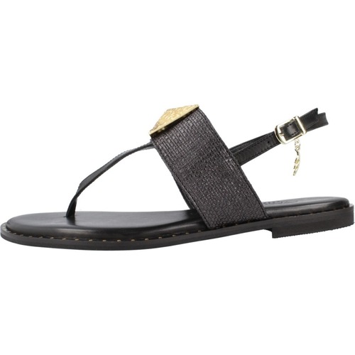 Caryatis 6271C Preto
