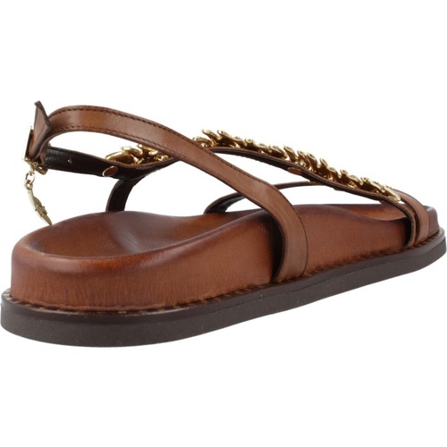 Caryatis 682609C Castanho