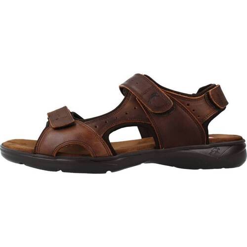 Fluchos F1201 Castanho